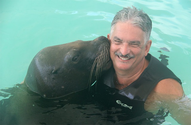 seal kissing man in pool